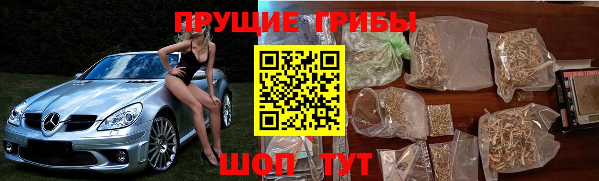 Псилоцибиновые грибы мухоморы  Псилоцибиновые грибы мухоморы  Кандалакша  Вход с VPN 